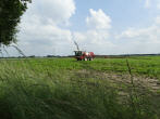 gewasbescherming